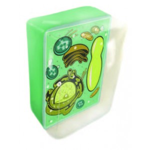 Inflatable Plant Cell Model
